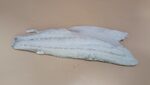 BRANZINO FILETTO 160/220 GR. PESO PIENO TURCHIA X5