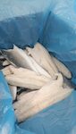 FILETTI DI BRANZINO 220+ GR CON PELLE 1X5 KG