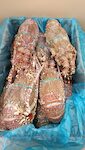 ARAGOSTE MAURITANIA ROSSE 800/1200 1X10 KG CIRCA