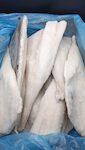 FILETTI DI BACALAO 1000+ GR 1X10 KG