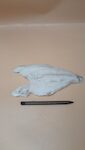 ORATA FILETTO 120/160 PESO PIENO TURCHIA X5
