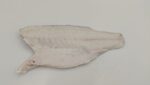Branzino Filetto 80/120 peso pieno Turchia X5