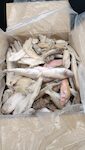 FRITTO MISTO DI PARANZA 1X5 KG