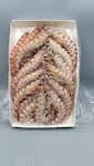 MAZZANCOLLE TUNISIA '2' BORDO 12X1 KG