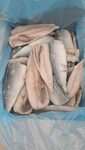 FILETTI DI SGOMBRO 100/150 GR 1X5 KG
