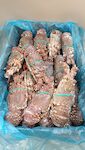 ARAGOSTE MAURITANIA ROSSE 300/400 1X8 KG