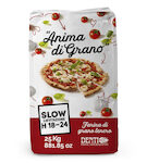 Farina Manitoba Pizza Denti kg.5