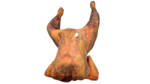 GALLINA DA BRODO A BUSTO CON ETICHETTA X5