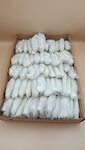 CALAMARI MAROCCO 3P PULITI 1X6 KG