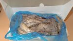 MAZZANCOLLE CON TESTA EQUADOR 40/50 PESO PIENO 6X2