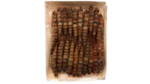 MAZZANCOLLE TUNISIA 'AA' (16/20) 12X800 GR
