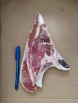 V.LO COTOLETTA 240/260  CIRCA 5KG
